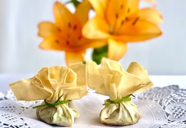Egg roll pastry with Chicken breast recipe photo 1